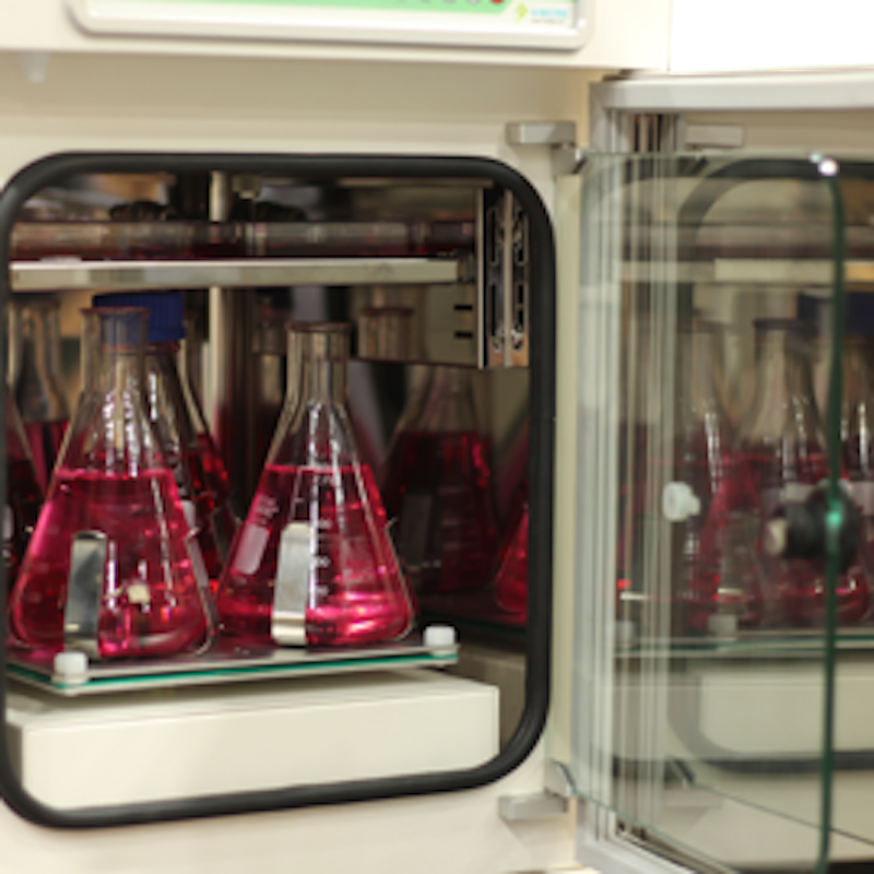 CO2 Incubator