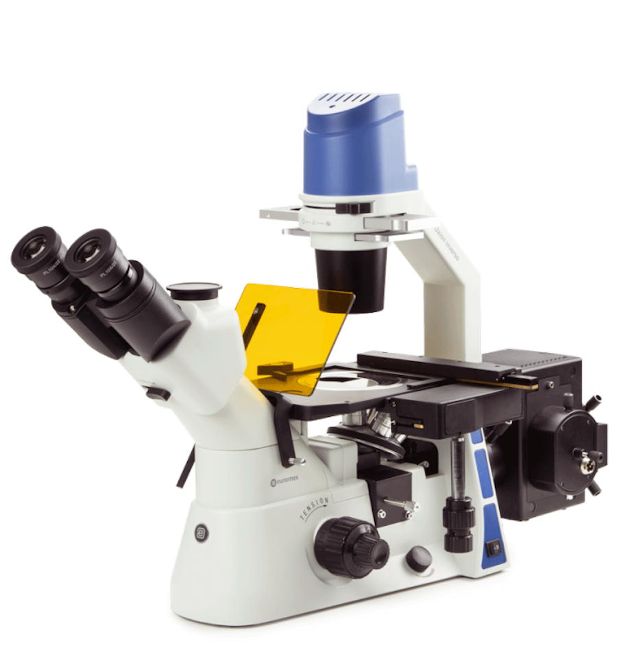 Inverted Microscope - Oxion Inverso (Fluorescence)
