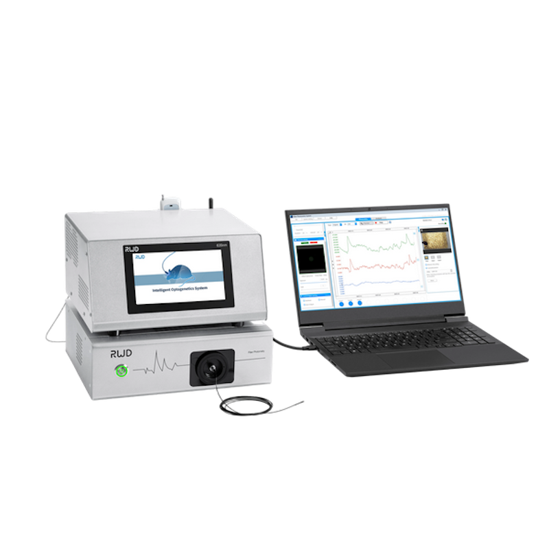 Multichannel Fiber Photometry System